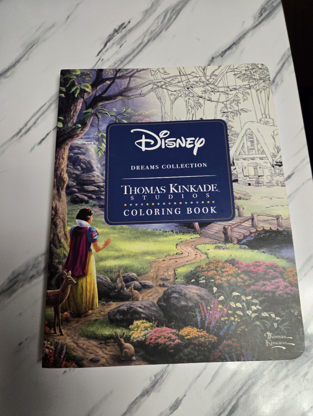 Disney Coloring Book - Blue, Green, Yellow, Purple